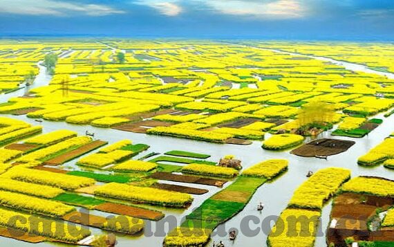 mk88线上娱乐-MK88线上娱乐，重塑现代休闲方式的数字化探索